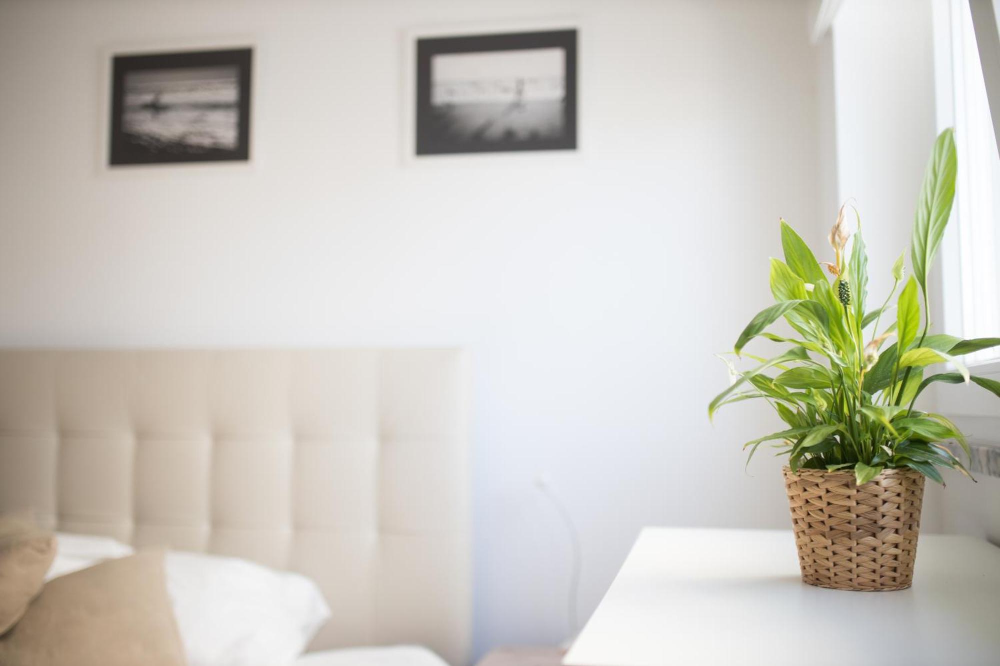 דירות ריבמר Casas Do Mar מראה חיצוני תמונה